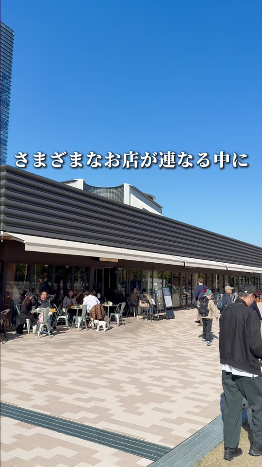 難波宮跡公園のなノにわの建物