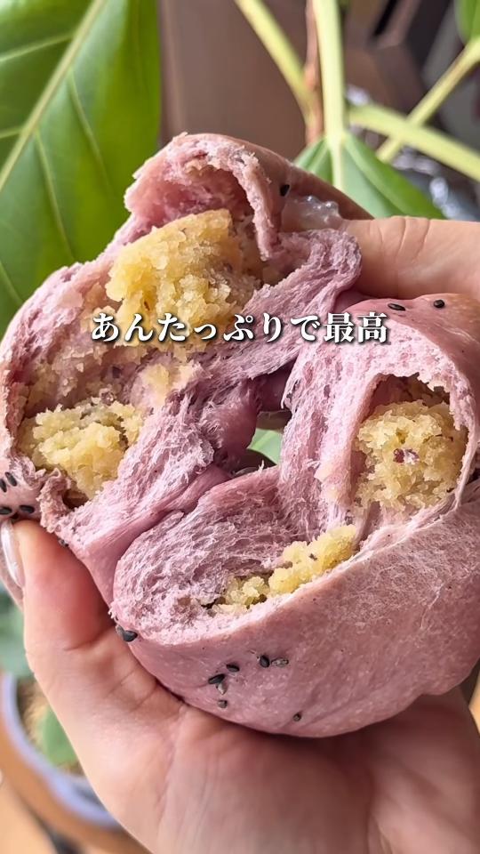ベーグルの断面