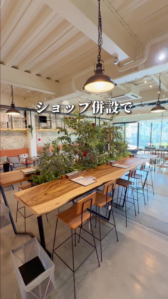 グリーンが並ぶ店内の席